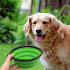 Large Dog Bowl Pet Collapsible Bowls, 2 Pack Collapsible Dog Water Bowls for Cats Dogs, Portable Pet Feeding Watering Dish for Walking Parking Traveling with 2 Carabiners (Large, Blue+Green)