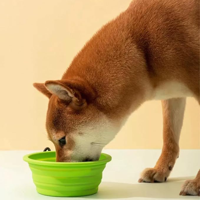 Collapsible Travel Pet Bowl with Carabiner for Dogs and Cats, Portable Silicone Pet Bowl for Waking, Hiking and Traveling (Neon Green)