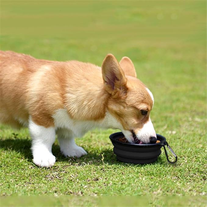 Dog Bowl Pet Collapsible Bowls,2 Pack Portable and Foldable Pet Travel Bowls Collapsable Dog Water Feeding Bowls Dish for Dogs Cats and Small Animals, (Small, Black+White)