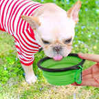 Silicone Foldable Pet Food Water Feeder, Collapsible Travel Bowl for Dog and Cat, Outdoor Portable (Green)