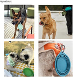 Collapsible Travel Pet Bowl with Carabiner for Dogs and Cats, Portable Silicone Pet Bowl for Waking, Hiking and Traveling (Blue)