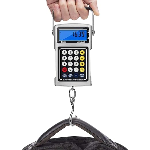 Hook Scale,Handheld Temp Display Clock - KG/G/LB Luggage Scale Hook,for Luggage Farm Market Fishing Travel Shopping Outdoor Hunting Men Women Fishermen