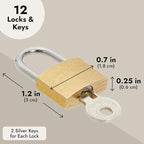 Juvale Luggage Locks with Keys - Mini Lock for Diaries & Jewelry Boxes - Travel Security for Suitcases & Bags - 12 Pack, 0.7 x 1.2 x 0.25 in, Gold & Silver