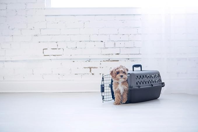 Petmate Pet Porter Dog Kennel 19", Dark Gray & Black, for Pets up to 10lbs, Made in USA