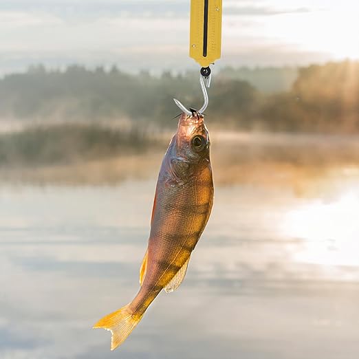 Beaupretty 2pcs Handheld Mechanical Hanging Scale 50kg Vertical Spring Kitchen and Travel Luggage Weighing Tool Yellow Portable Fish and Produce Scale