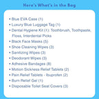 LUX Travel Essentials – 33 Piece Premium Hygiene & Comfort Set with Blue EVA Hard Case – Includes Dental Care, Face Masks, Wipes, Bandages & TSA-Friendly Travel Accessories