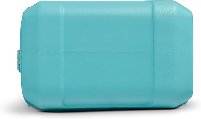 Igloo Tag Along 12-Can Satchel Cooler | Insulated Cooler Bag with Sturdy EVA Base