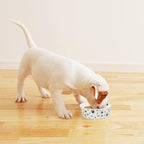 Disposable Dog Bowls - 30 Pcs 16 Ounces Paper Pet Bowls for Food and Water - Serving Tray Dishes for Small Medium Dogs Cats