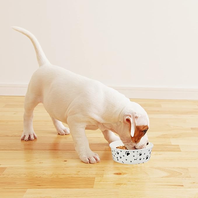 Disposable Dog Bowls - 30 Pcs 16 Ounces Paper Pet Bowls for Food and Water - Serving Tray Dishes for Small Medium Dogs Cats