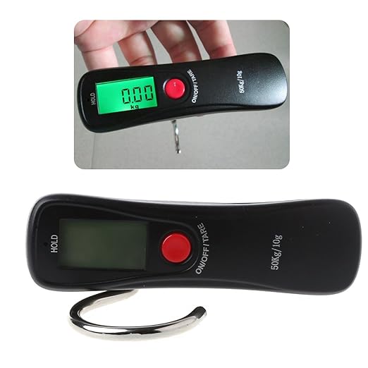 50kg/10g Portable Luggage Scale Digital Precise Hook Hanging Scale Electronic Weight Scale For Travel Househol