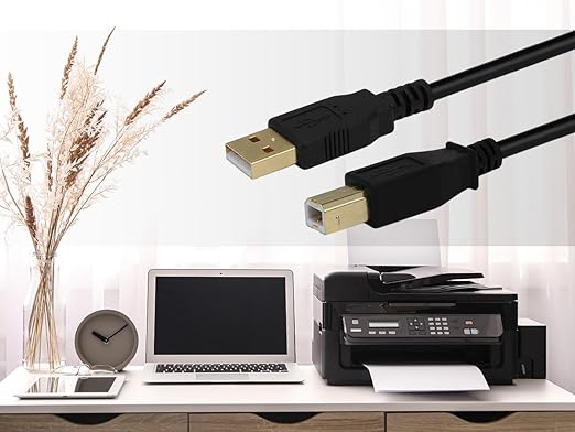 Monoprice 15-Feet USB 2.0 A Male to B Male 28/24AWG Cable (Gold Plated) (105440)