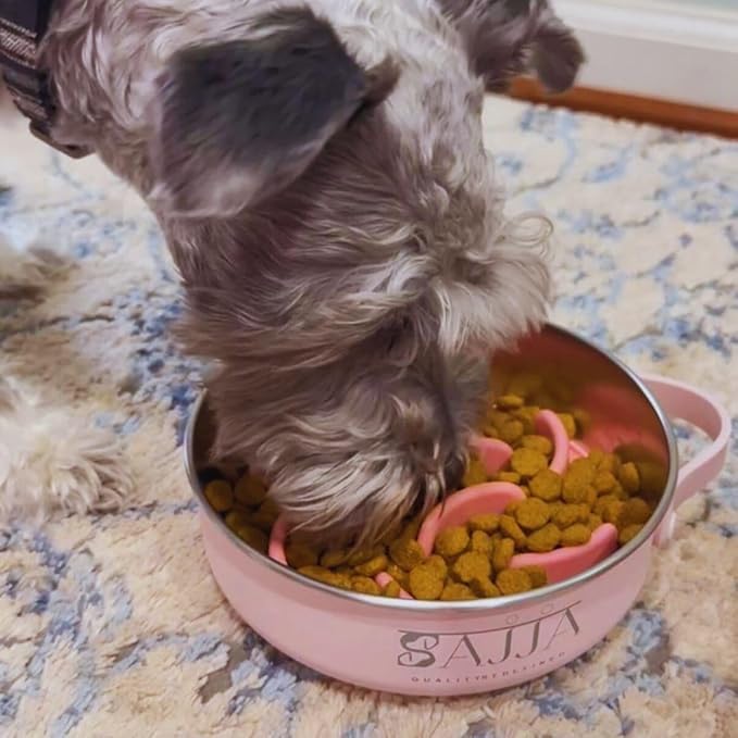 Pink Slow Feeder 3-in-1 Travel Dog Bowl Set – 30 OZ Stainless Steel + 20 OZ Collapsible BPA-Free Silicone Bowl Lid | Silicon Slow Feeder Insert | Non-Slip, Anti-Choking|, Carabiner | We give Back