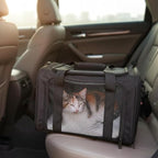 Dog Carrier for Pets, Up to 25 Lbs, Collapsible Travel Carriers for Puppy with Shoulder Strap and Removable Mat, 20x13x13 Inch, Black