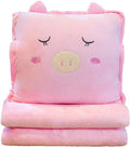 Fruit Throw Blanket and Pillow Set, Travel Blanket Compact Convenient Bed Throw Pillows with Airplane and Car Suitable for Office Nap Time (B, 67in x 39in)