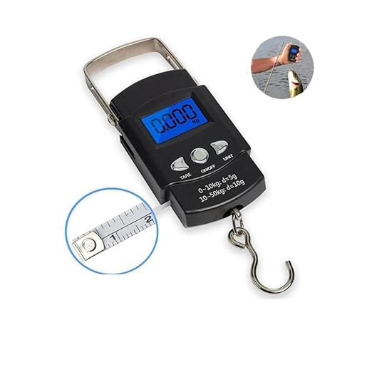 Luggage Weight Scale, Multifunctional Mini 50kg10g Electronic Fishing Luggage Portable Digital Handheld Weight Hook Scale Tool with Ruler Outdoor,for Travel