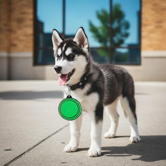 Silicone Foldable Pet Food Water Feeder, Collapsible Travel Bowl for Dog and Cat, Outdoor Portable (Green)