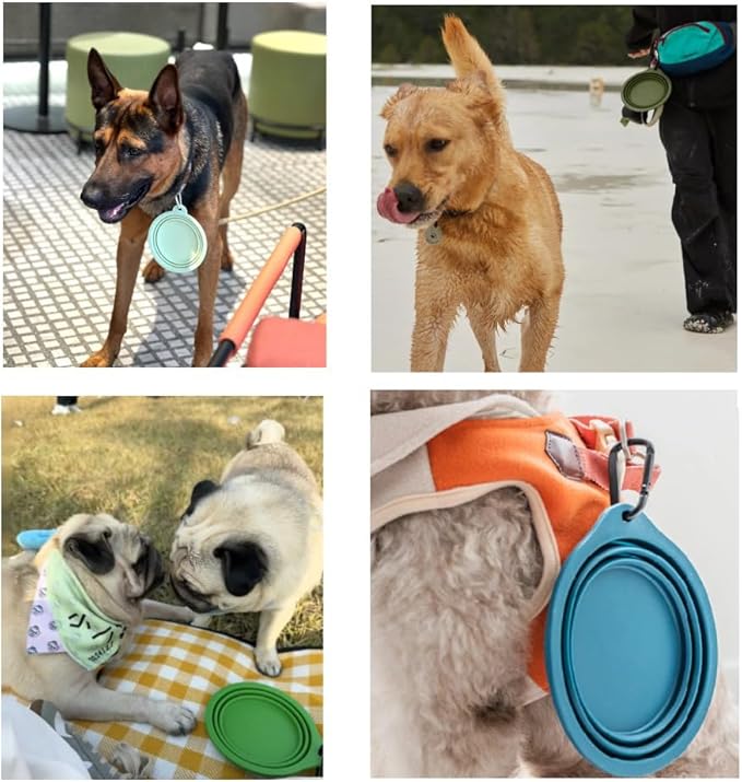 Collapsible Travel Pet Bowl with Carabiner for Dogs and Cats, Portable Silicone Pet Bowl for Waking, Hiking and Traveling (Yellow)