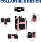 Apollo Walker Dog & Cat Carrier Backpack for 4-18lb Pets - Ventilated Safe Design with Padded Back Support, Breathable Mesh Pet Backpack for Hiking, Travel, Outdoor (Pink)