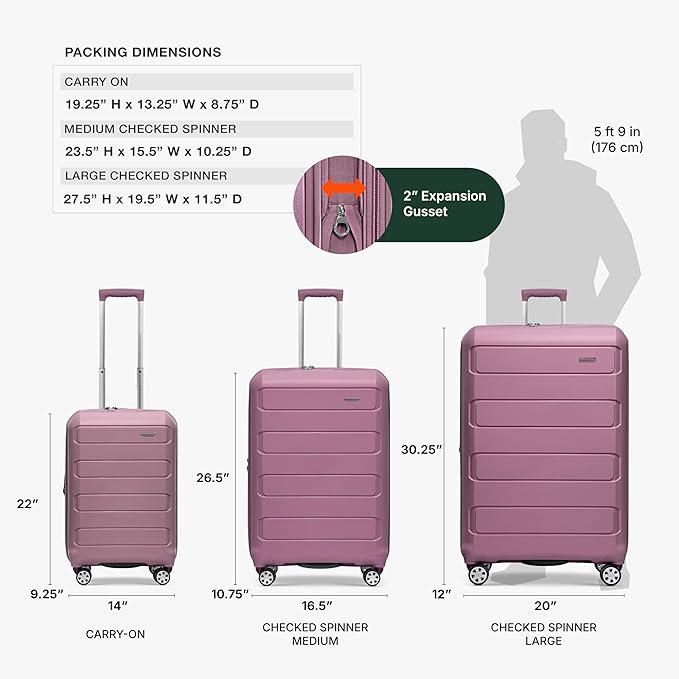 Traveler's Choice Pagosa Hardshell Expandable Luggage with Spinner Wheels, Mauve, 2-Piece Set (22/26)