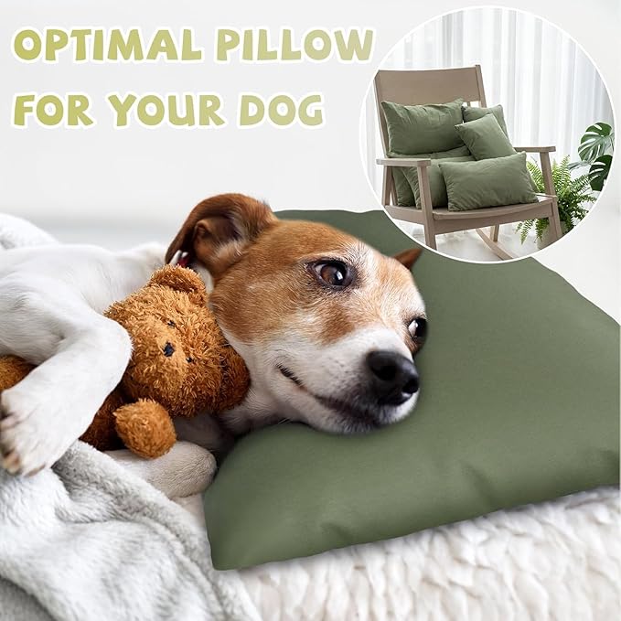 Kigley 12 Pack Mini Pillows for Daycare 9.1 x 13.8'' Small Travel Pillow Bulk Soft Breathable Cotton Pillow for Nap Travel Pet Neck Lumbar Purse Insert (Olive Green)