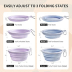 Collapsible Dog Bowls 2-Pack, Portable Travel Dog Bowl with Carabiner, Food-Grade Silicone Pet Bowl for Hiking, Walking (Macaron Blue and Violet)