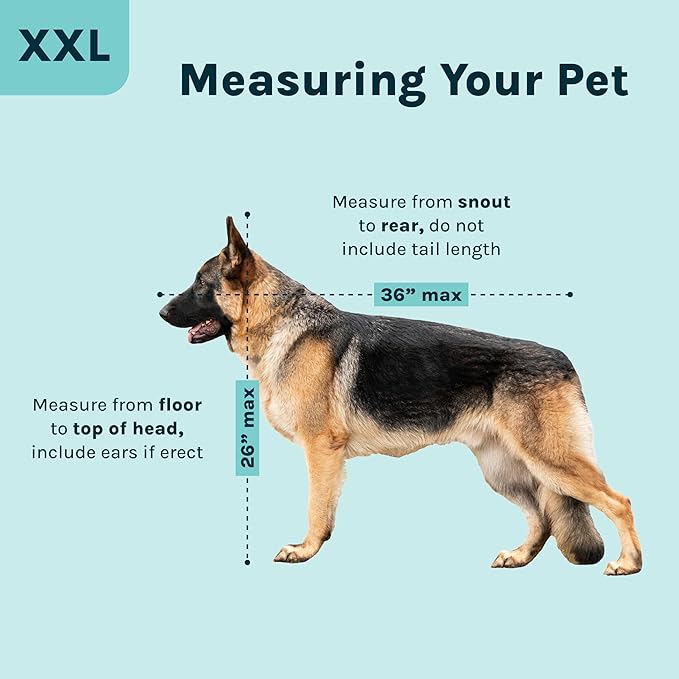 SportPet Airline Compliant XX-LARGE 39" Travel Dog Kennel-Durable Plastic Airline Pet Carrier w/ Removable Wheels & Food Bowls, Collapsible Indoor/Outdoor Dog Kennel, Dogs up to 36"L & 27"H-Cream/Gray