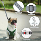 BWOGUE Pet Dog Cat Seat Belt Reflective Car Dog Headrest Restraint Leash Elastic Buffer Bungee Adjustable Tangle-Free Safety Leads Vehicle Seatbelt Harness for Small, Medium and Large Dogs (1 Pack)