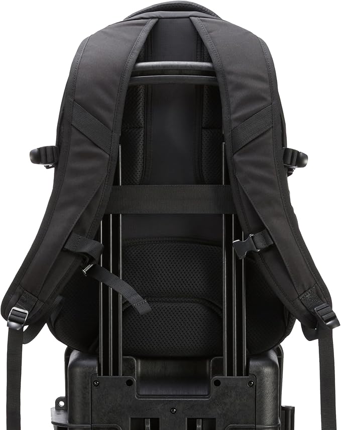 Amazon Basics Travel Laptop Backpack with Multiple Pockets and Compartments for 15.6 inch Laptop, Water Resistant, Spacious with Padded Shoulder Straps, Black | for 15.6 inch Laptop