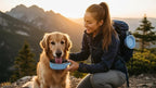 Blue Slow Feeder Travel Dog Bowl Set | 30oz Stainless Steel + 20oz Collapsible Silicone Dish | Water Bottle Holder| Non-Slip, Anti-Choking, BPA-Free | We Give Back