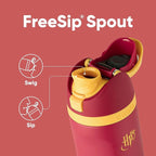 Owala Harry Potter FreeSip Insulated Stainless Steel Water Bottle with Straw, BPA-Free Sports Water Bottle, Great for Travel, 24 Oz, Gryffindor