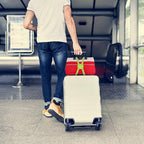 Luggage Straps Bag Bungees for Add a Bag Easy to Travel Suitcase Elastic Strap Belt (L Green, L Green)