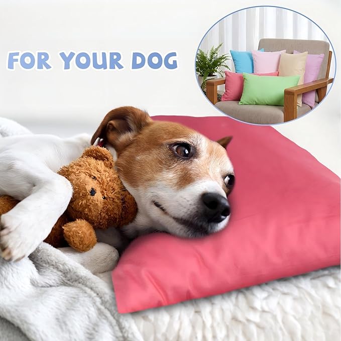 Kigley 12 Pack Mini Pillows for Daycare 9.1 x 13.8'' Small Travel Pillow Bulk Soft Breathable Cotton Pillow for Nap Travel Pet Neck Lumbar Purse Insert (Dark Color)