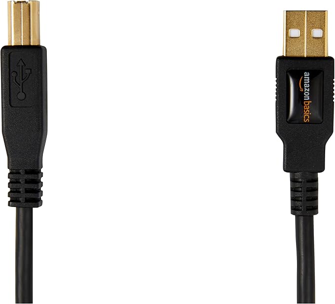 Amazon Basics USB-A to USB-B 2.0 Cable for Printer or External Hard Drive, Gold-Plated Connectors, Black, 10 Foot (Pack of 2)