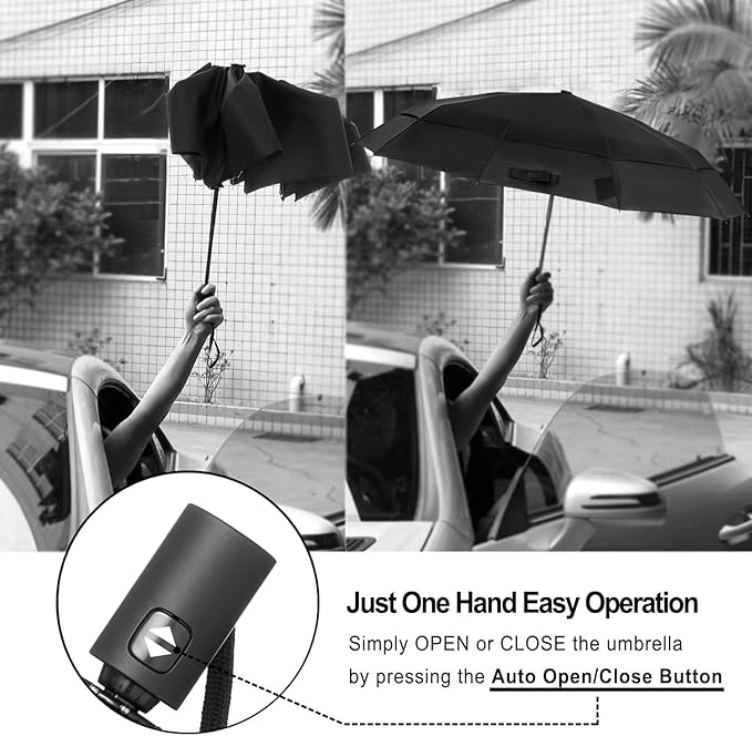 LANBRELLA Umbrella Windproof Compact Travel Umbrella Auto Open Close for Rain