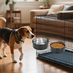 Dog Crate Water Bowl No Spill 2 Pack,Stainless Steel Dog Bowls for Food and Water, Pet Kennel Hanging Dogs Food Bowls for Medium/Large Dogs and Cats (7.1"x2.6" & 6.3"x2.6", Black)
