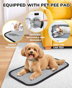 BurgeonNest Center Console Dog Car Seat for Small Dogs, Puppy Cat Car Seat Booster with Soft Cushion Safety Belt, Seats Safe & Cozy Metal Frame Armrest Dog Booster Pet Under 11 lbs (Graffiti)