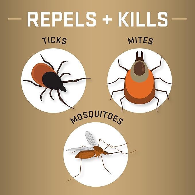 Repel Permethrin Clothing And Gear Insect Repellent, 6.5 Ounces, Aerosol Insect Repellent For Clothing And Gear Including Nets, Tents, Sleeping Bags And Backpacks