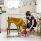 Kytely Large Collapsible Dog Bowls 2 Pack, 34oz Foldable Dog Travel Bowl, Portable Pet Water Food Bowl with Clasp, Pet Cat Feeding Cup Dish for Traveling, Walking, Hiking (Pink+Purple)