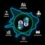 Eargasm Earlights Light Up High Fidelity LED Earplugs for Concerts, Festivals, Raves, Musicians, Sports Events, Live Entertainment for Safe Noise Reduction (Premium Gift Box Packaging)