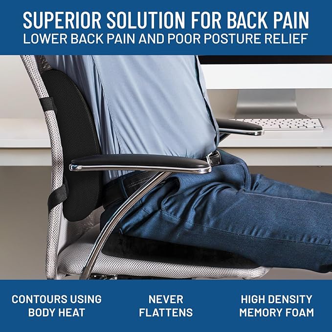 Everlasting Comfort The Original Lumbar Support Pillow for Office Chair - Improves Posture, Promotes Back Pain Relief - Superior Back Support for Gaming and Desk Chairs - Lumbar Pillow for Car, Couch