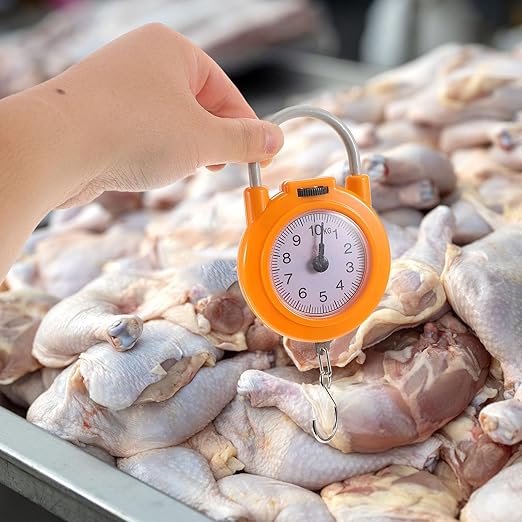 ibasenice Handheld Portable Electronic Spring Luggage Scale with Hook Small High-Precision Weighing Scale for Travel and Home Use