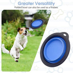 PINVNBY Elevated Portable Dog Bowl, Travel Raised Stand with Collapsible Silicone Double Diner Bowls Non-Slip Food and Water Bowls Holder for Small Dogs and Cats - 14.6" L x 7.5" W x 3.9" H