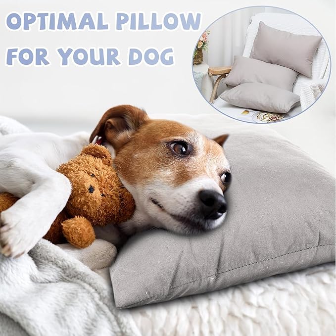 Kigley 12 Pack Mini Pillows for Daycare 9.1 x 13.8'' Small Travel Pillow Bulk Soft Breathable Cotton Pillow for Nap Travel Pet Neck Lumbar Purse Insert(Light Gray)