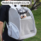 Pet Backpack Carrier ，Large Cat Carrier Backpack Up to 20 Lbs with Breathable Mesh, for Medium Large Cats or Small Dogs, Travel Hiking Camping Backpack (Gray-XL)