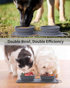 Collapsible Portable 2-in-1 Dog Bowl, Travel Dog Bowl Integrated, Silicone Foldable Expandable Food Water Bowl with Carabiner - Anti-Spill and Anti-Skid - for Camping/Traveling LPFLASAT (Grey)