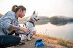 Ruffwear, Quencher Collapsible Dog Bowl, Packable Food & Water Bowl with Waterproof Lining, Water-Resistant Shell, & Reflective Trim, Lightweight, 4.2 Cups (1 L), Coastal Mountains, Medium