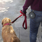 Collapsible Dog Bowls for Travel, 2-Pack Dog Portable Water Bowl for Dogs Cats Pet Foldable Feeding Watering Dish for Traveling Camping with Carabiners, BPA Free (Grey&Pink, Small (Pack of 2))