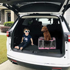GAPZER Pet Carrier for Large and Medium Cats, Soft-Sided Pet Carrier for Big Medium Cats and Puppy Dog Carriers Cat Carriers, Pet Privacy Protection Travel Carrier