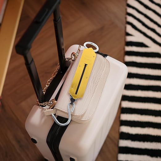 LIFKOME 2pcs Mechanical Hanging Weight Scale with Spring Balance 100kg Portable Handheld Hook Scale for Luggage, Fishing, Farming and Kitchen Use