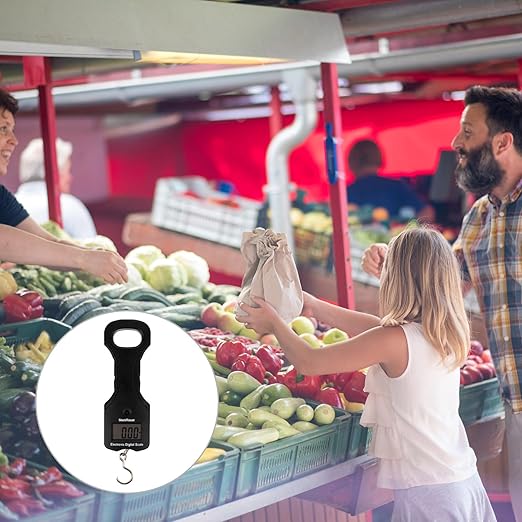 DOITOOL Digital Luggage Scale Portable 30kg Handheld Electronic Hanging Weighing Scale for Travel Suitcase and Fishing Use with LCD Display